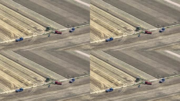 河南农业生产麦收三农生产耕种航拍