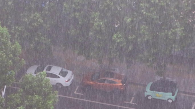 4K狂风暴雨大雨下雨强降水风雨交加