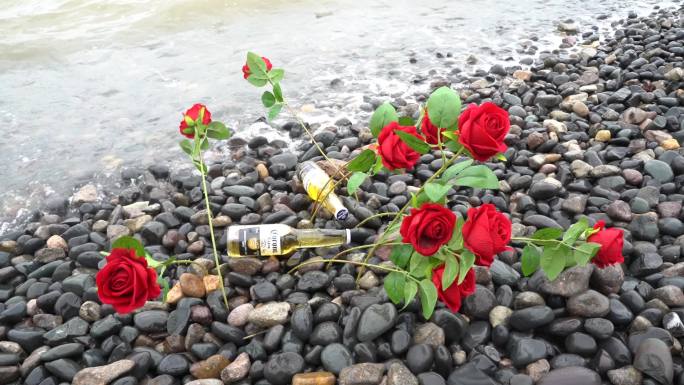 海边玫瑰花C0184