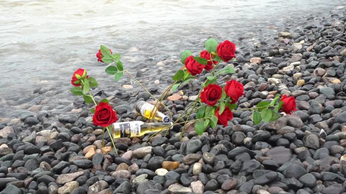 海边玫瑰花C0179