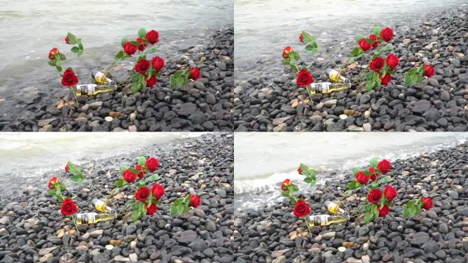 海边玫瑰花C0179