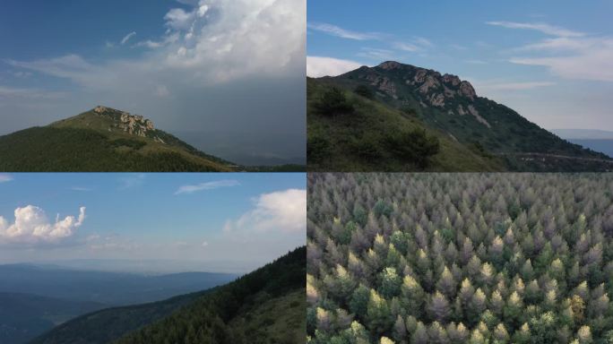 美丽山景