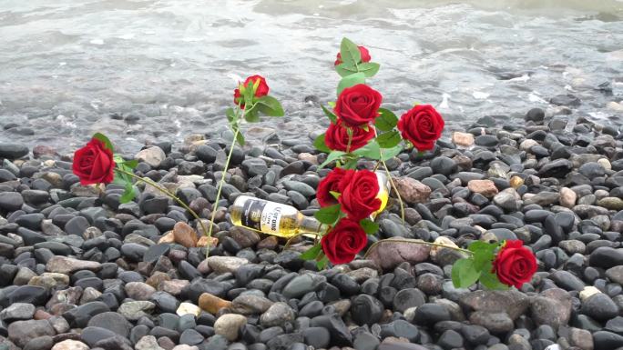 海边玫瑰花C0185