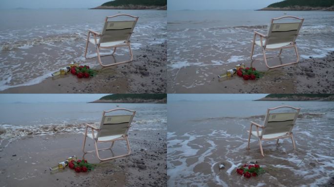 海边玫瑰花C0285