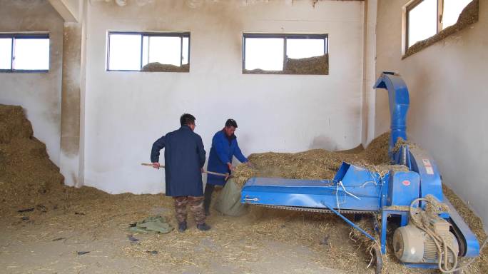 牧区 草原 草垛 牧民 秋季 冬天铡草机