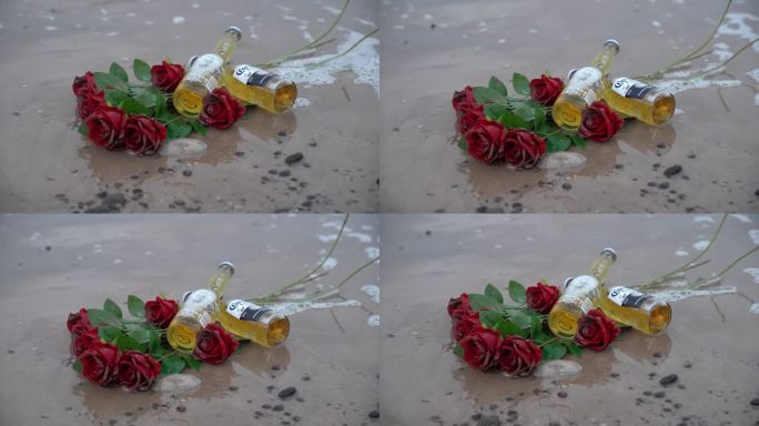 海边玫瑰花C0279