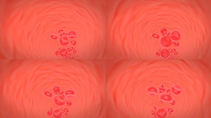 红细胞在血管内流动