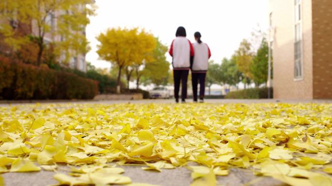 两位女学生走在秋天落满树叶的校园