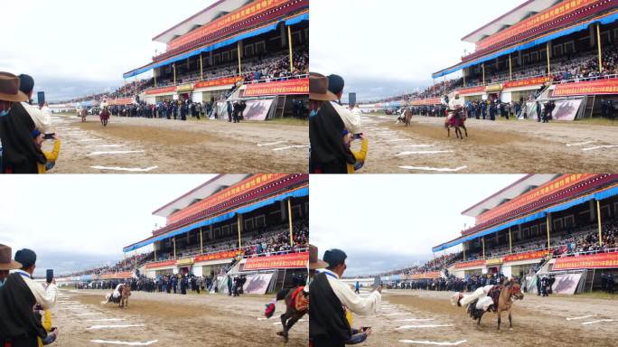 民俗活动 高原活动 高原赛马 马 喜庆