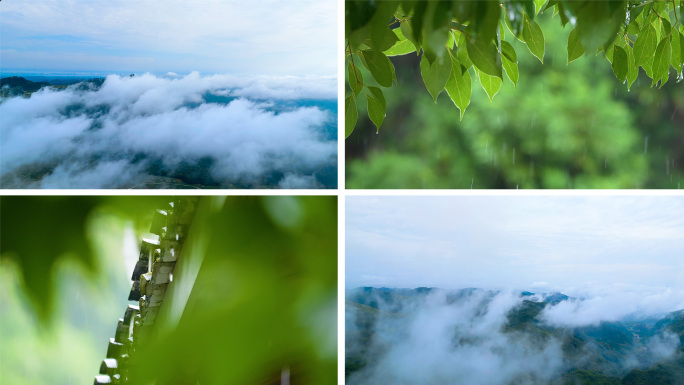 4k森林大自然流水树林雨滴山水自然山川云