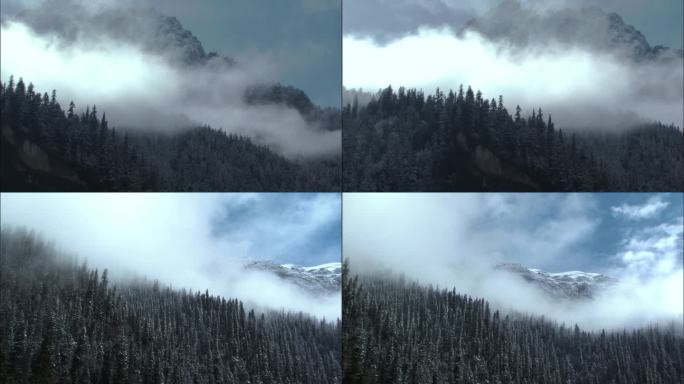 云雾袅绕的森林雪山