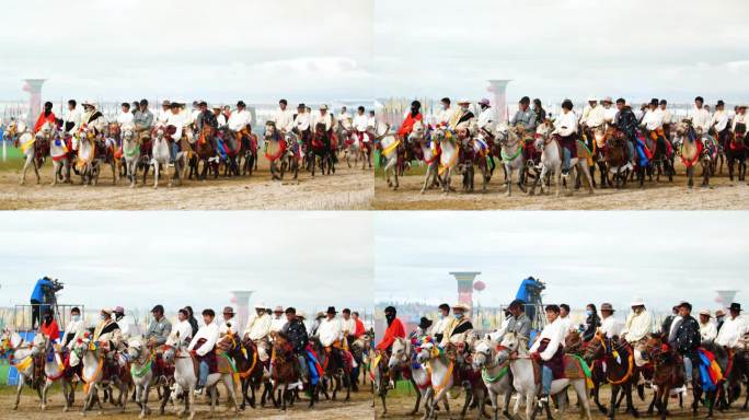 民族大团结 马 驰骋 骏马驰骋 万马奔腾