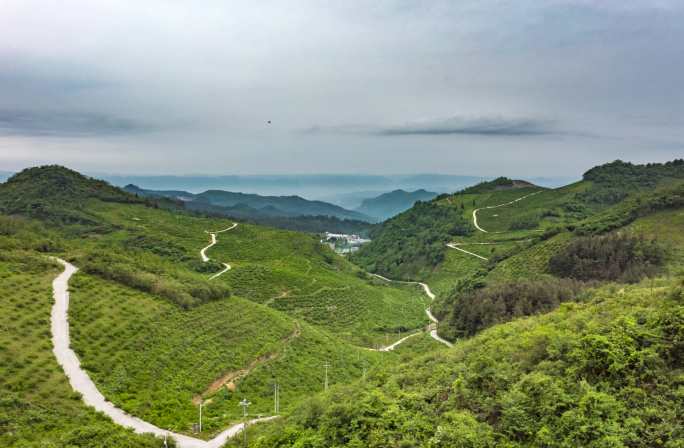 4K 航怕龙里县刺梨沟种植基地6