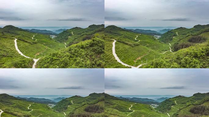 4K 航怕龙里县刺梨沟种植基地6