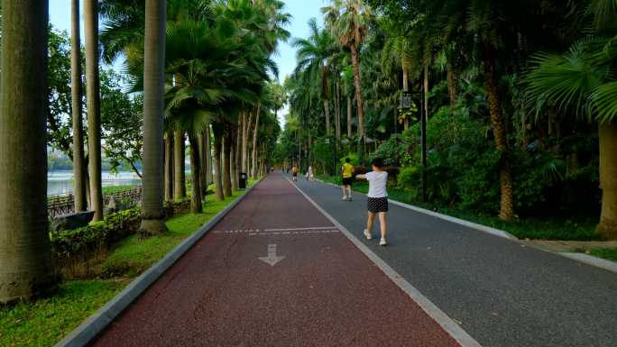 南宁南湖公园跑道跑步健身的市民