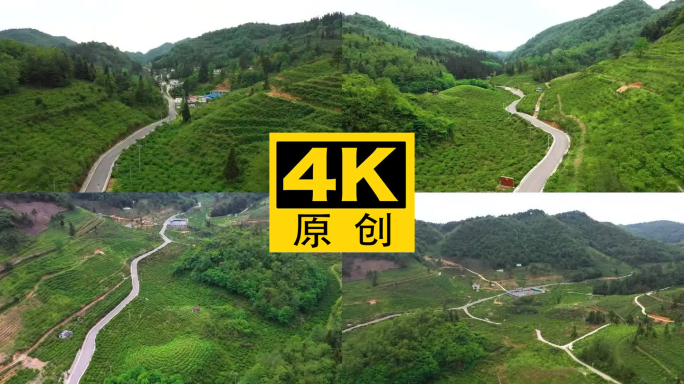 4K 航拍龙里县刺梨沟种植基地1