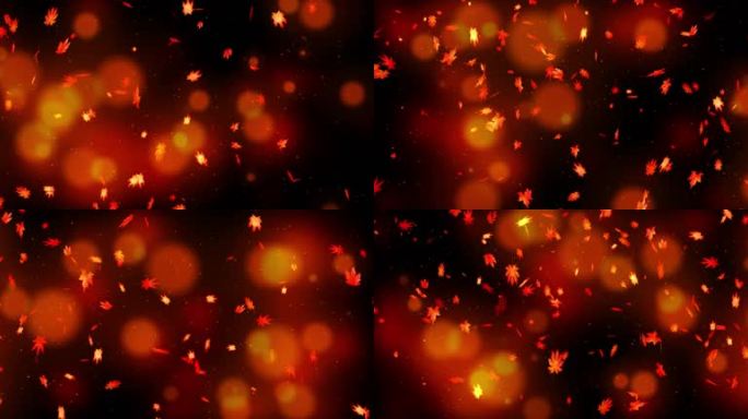 枫叶 树叶 红叶 飘落叶子 落叶