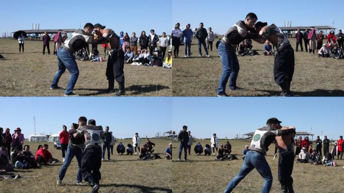 蒙古草原摔跤