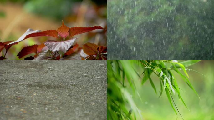 雨