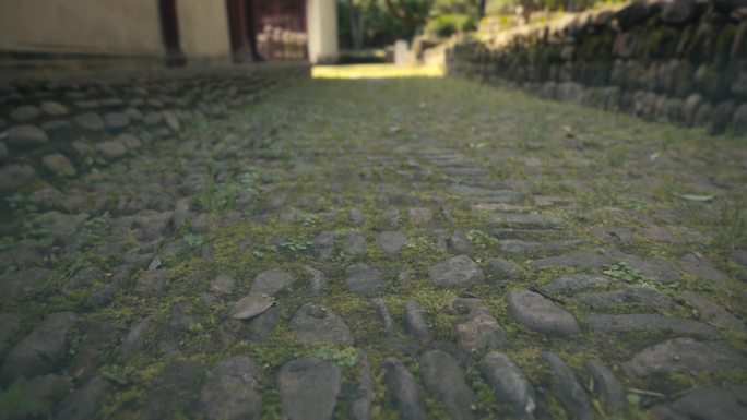 青苔 寺院 漫步 升格