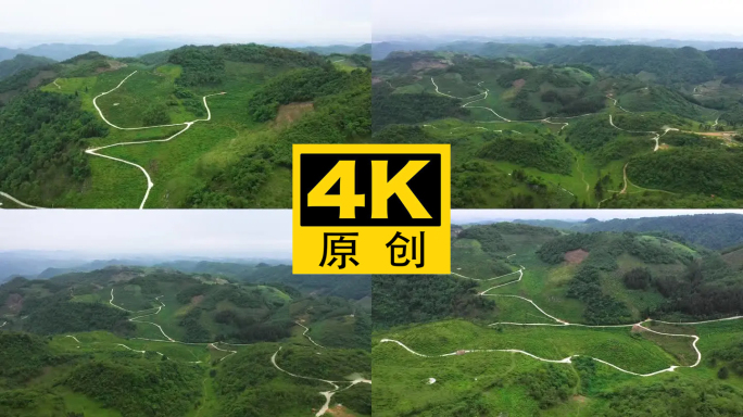 4K 航拍龙里县刺梨沟种植基地2