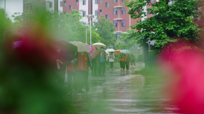 雨天撑着雨伞走在校园的初高中学生