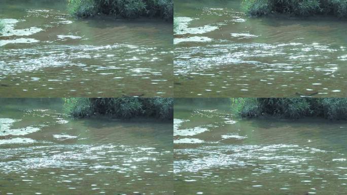 湍急河水 波浪 洪水 绿水 白水花