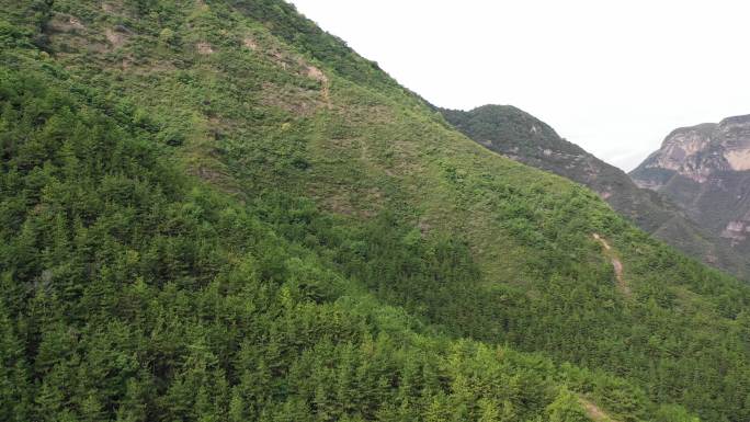 平凉崆峒山太统山自然保护区后峡水库