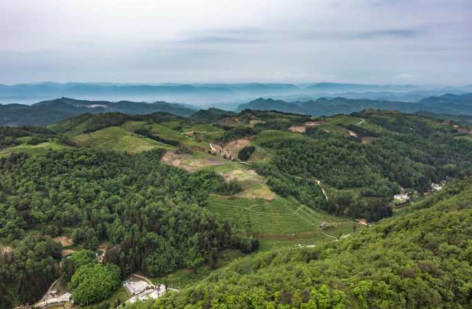 4K 航怕龙里县刺梨沟种植基地延时风光1