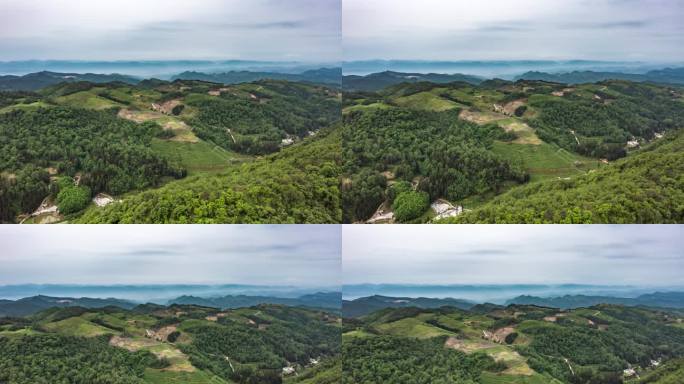 4K 航怕龙里县刺梨沟种植基地延时风光1