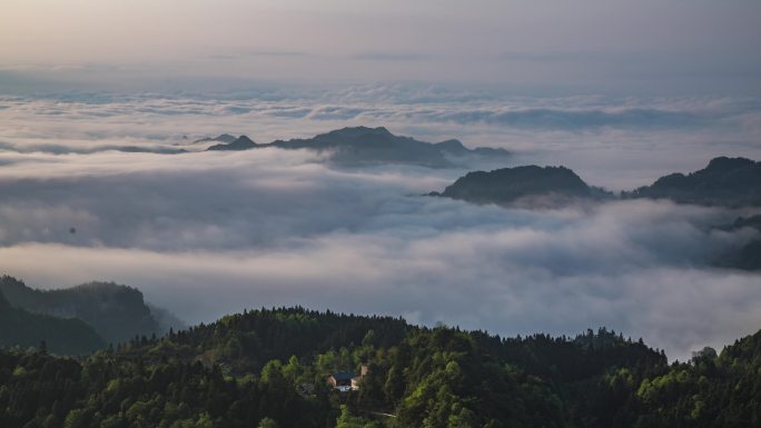 重庆南川：云雾漫山春色美