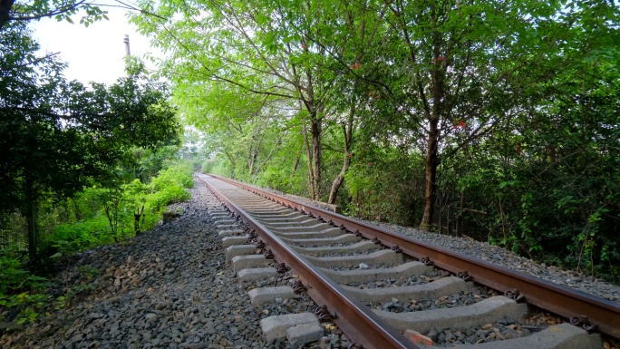 废弃铁路铁轨穿过树林