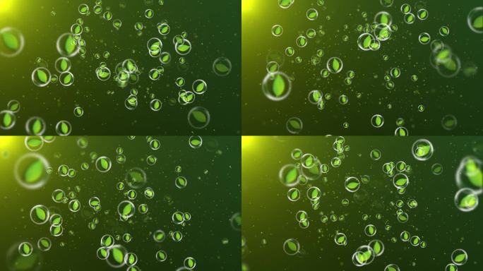 4K清新树叶泡泡背景