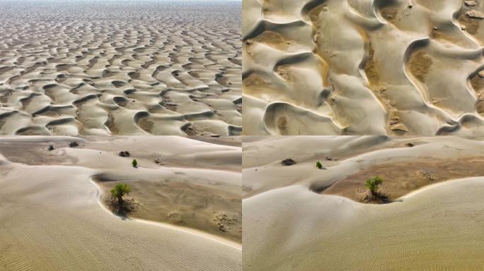 4K航拍新疆地区塔克拉玛干沙漠风景4