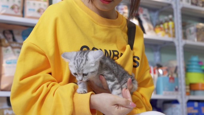 宠物店女孩抱着猫撸猫