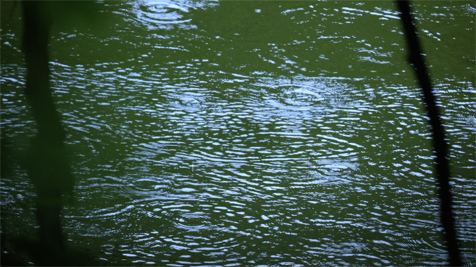 4k谷雨立春雨水惊蛰意境屋檐雨滴雨景滴水