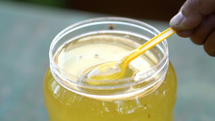 槐花蜜 蜂蜜采集 野外采蜜