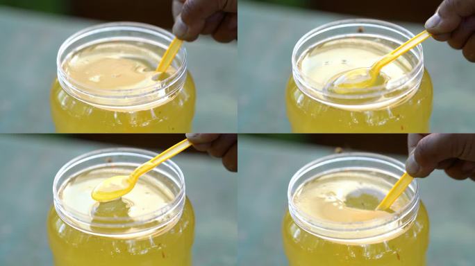 槐花蜜 蜂蜜采集 野外采蜜