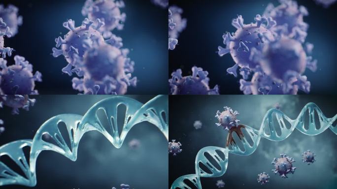 细菌入侵病毒植入DNA特效动画