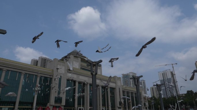 广西首府南宁民族广场大会堂和平鸽飞翔