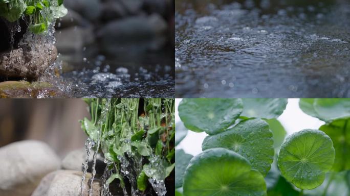 4K实拍水塘铜钱草流水水池冒泡