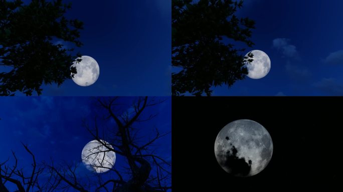 中秋节夜晚满月升空月上树梢