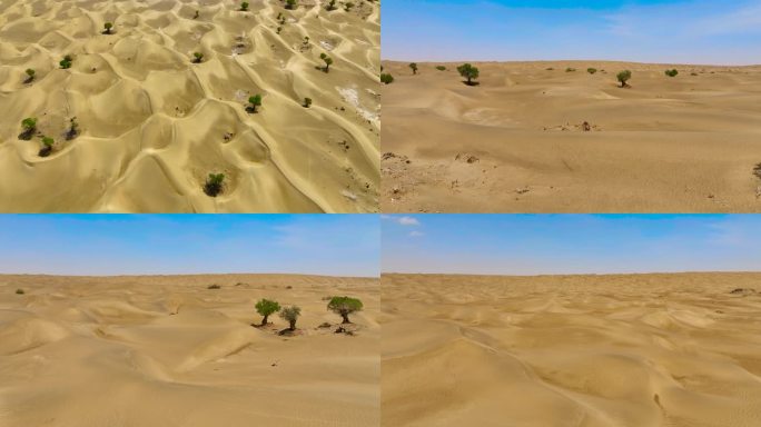 4K航拍新疆地区塔克拉玛干沙漠13