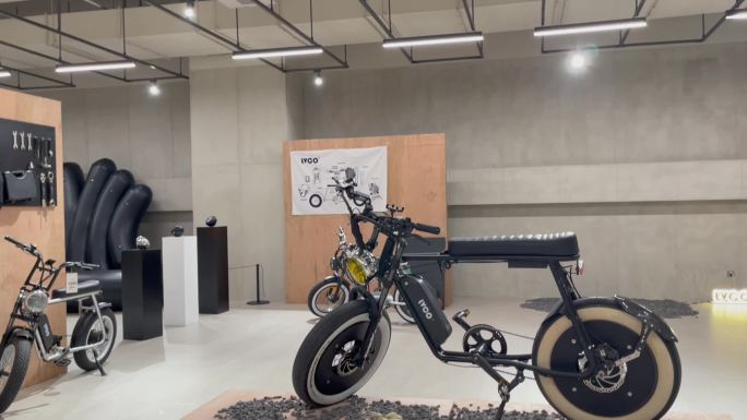 lvco新能源电动助力