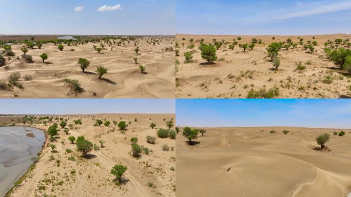 4K航拍新疆地区塔克拉玛干沙漠合集4
