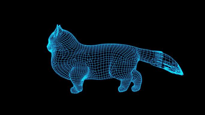 蓝色全息猫动画素材带通道