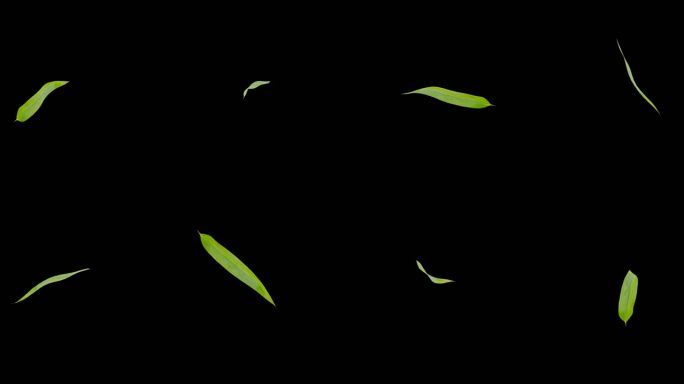 竹叶三维循环 竹叶 叶子发射粒子用 柳叶