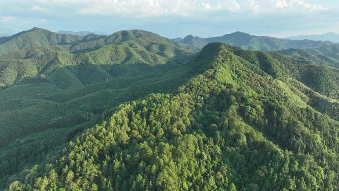 森林航拍山水树林自然风景大自然风光绿色山