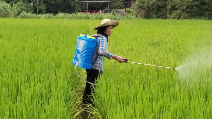 打除草剂杀虫剂除草剂病虫害喷雾器喷洒喷施