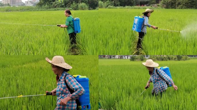 打除草剂杀虫剂除草剂病虫害喷雾器喷洒喷施